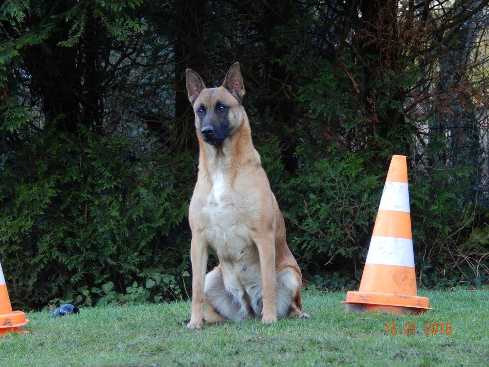 Louna